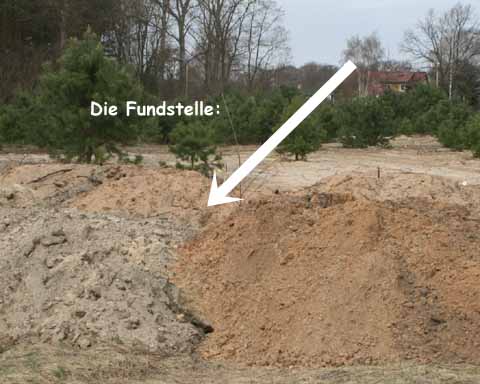Waldsiedlung: Spektakulärer Fund!