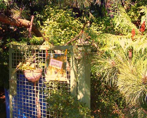 Reizvolle Flora in Schulzendorf: Jutta Urbanski lud am Wochenende in ihre grüne Oase ein!