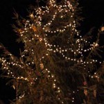 Schulzendorfer Christbaum