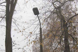 Straßenbeleuchtung: Bewohner am Leipziger Platz fühlen sich von der Gemeinde im Dunkeln gelassen.