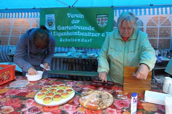 Steuern: Diese Änderungen müssen Vereine künftig beachten!