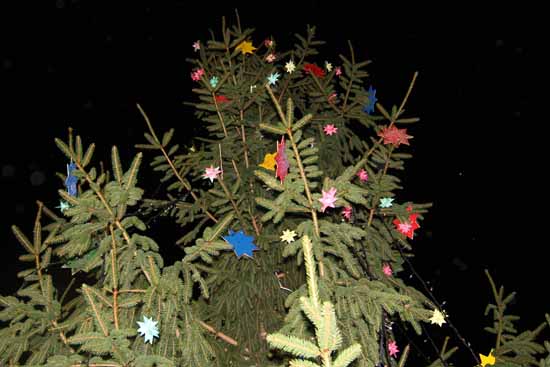 Riesen Glück: Acht Meter hoher Weihnachtsbaum umgestürzt – Keine Verletzte!