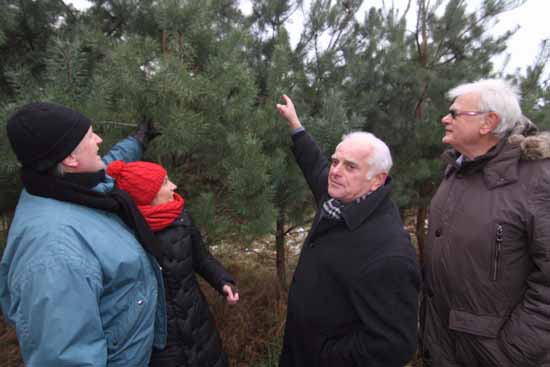 Waldsiedlung: Investoren halfen beim Weihnachtsbaumverkauf!