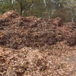 Laub Abfälle auf dem hinteren Friedhofsgelände. (Foto: mwBild)