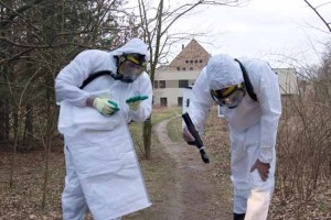 Landkreis beauflagt Eigentümer – Asbest muss entsorgt werden!