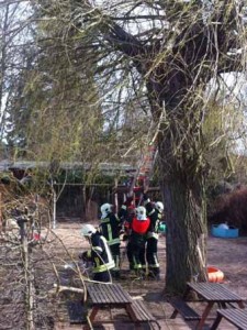 Sturmtief Niklas sorgte für viele umgestürzte Bäume. Rund 20 Stunden waren Schjulzendorfs Feuerwehrleute auf den Beinen. Hier bei der Gefahrenbeseitigung in der Kita Löwenzahn.(Foto: HE)
