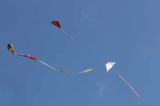 Drachenfest: Himmelstürmer tanzten über Schulzendorf