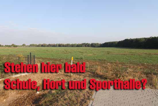 Auf diesem Gelände ist jede Menge Platz für ein Schulprojekt. (Foto:mwBild)