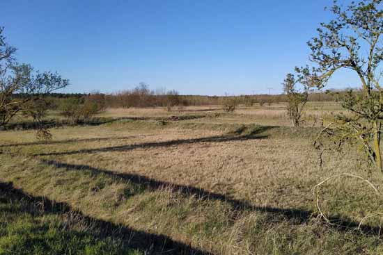 Die ehemaligen Riesefelder, heute Flächen der Berliner Stdtgüter