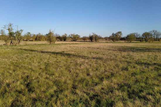 Erinnert an die Kalahari in der afikanischen Wüste.