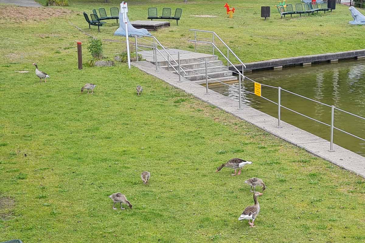Jonas Reif: "Man könnte sagen: Das Freibad musste geschlossen werden, weil es geschlossen war. (Foto: mwBild)
