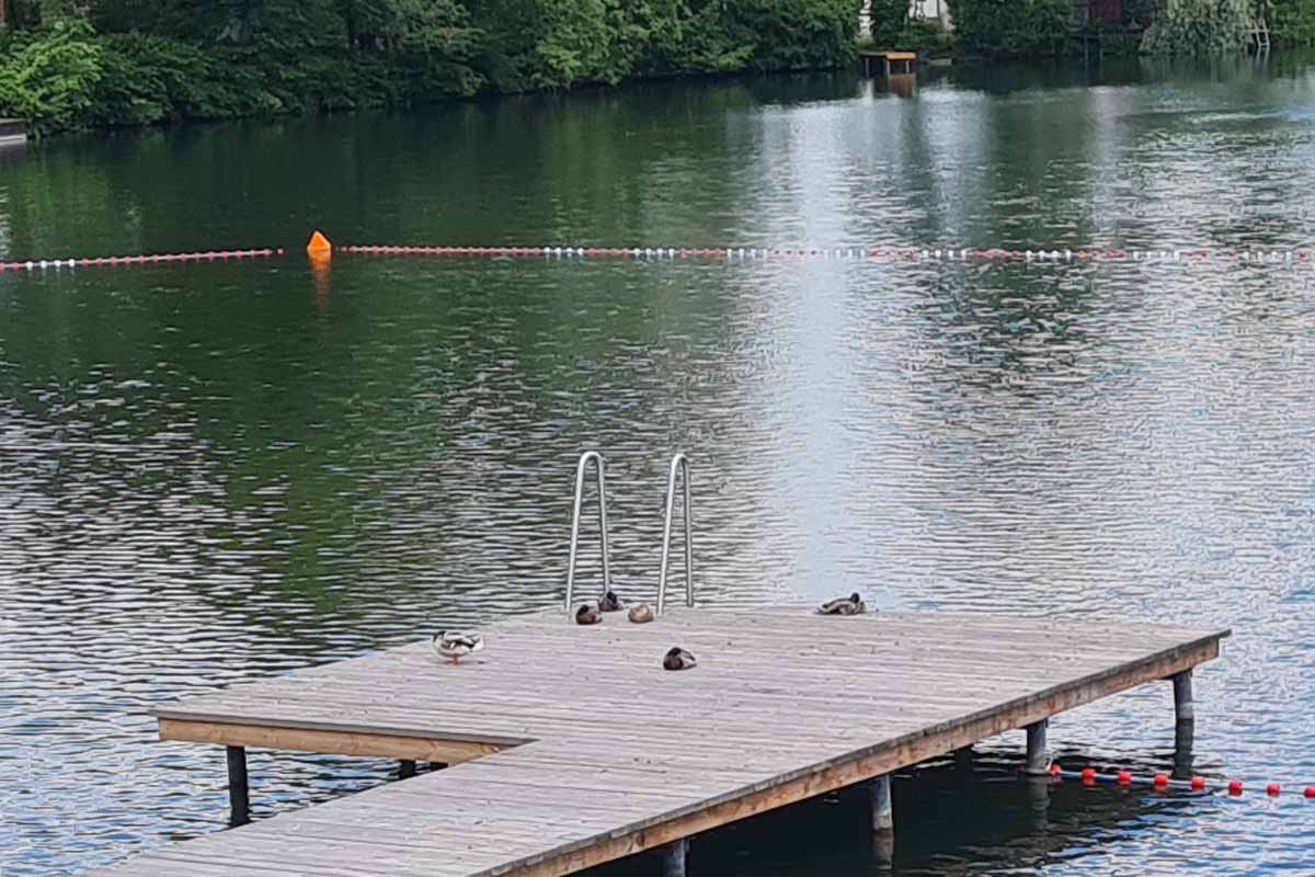 Sie fühlen sich wohl in der Miersdorfer Oase. (Foto: mwBild)