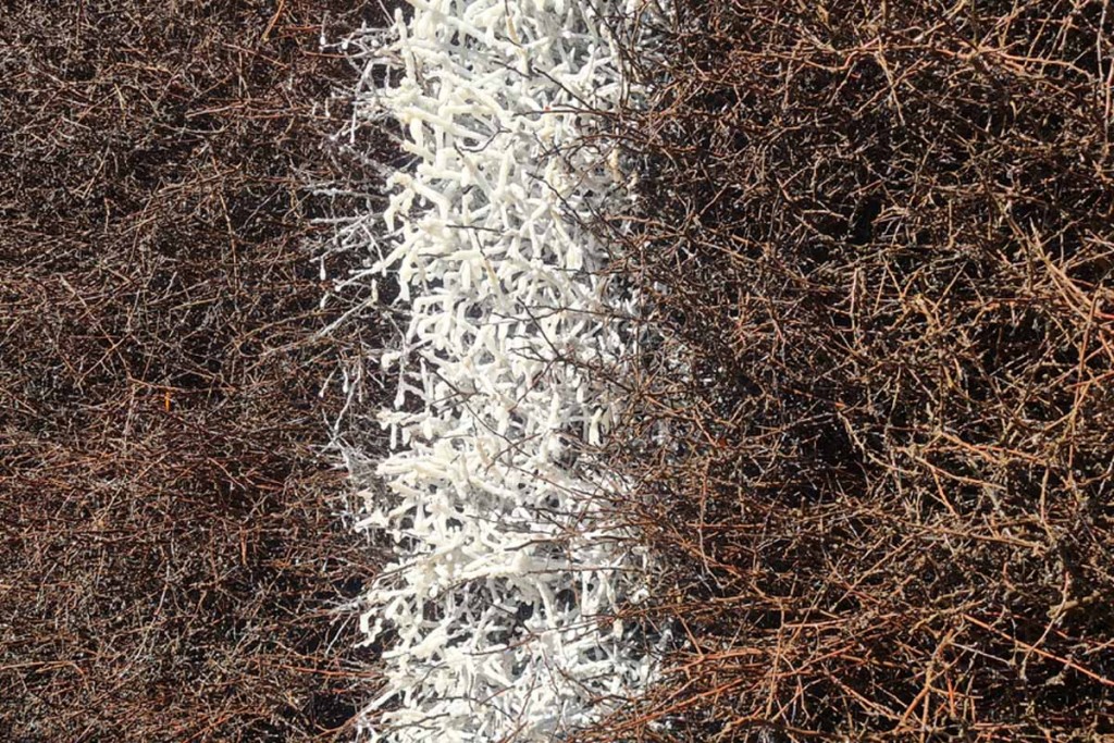 Am Schwarzdorn rieselt die Sole herunter und bildet einen feinen Nebel. (Foto:mwBild)