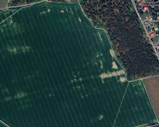 Hier sollten 300 Wohnhäuser entstehen. (Google Maps)