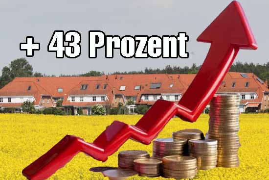 Schock: Mücke plant Steuerexplosion zu Weihnachten!