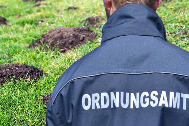 Nutzer, die nicht rechtzeitig "Ungeziefer", bekämpfen, müssen mit Besuch vom Ordnungsamt und bis zu 1.000 Euro Strafe rechnen. (Symbolfoto)