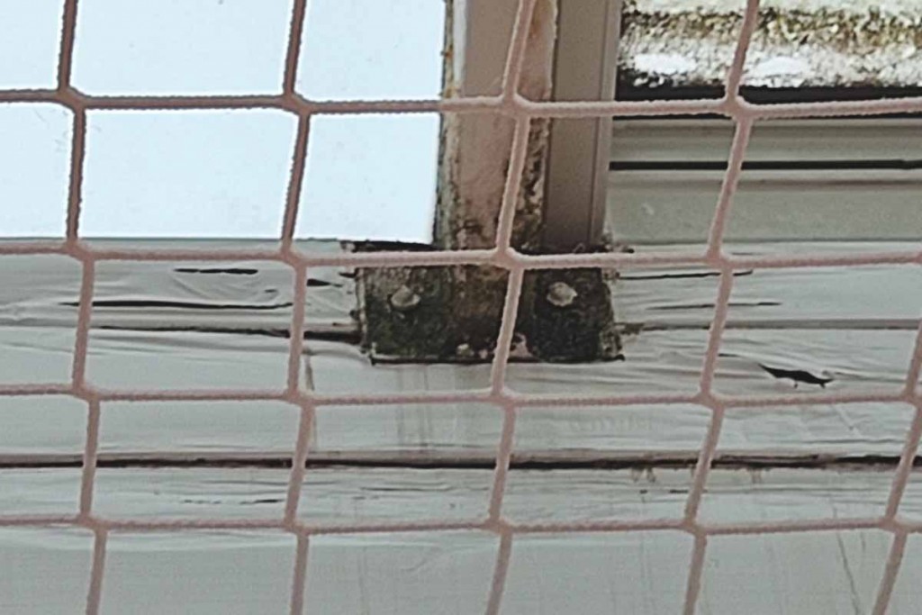 Aufklärungsausschuss: Linke/Grüne drohen mit Abschaffung!