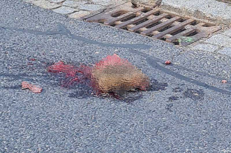 Das Foto wurde undeutlich gemacht, weil es für Betrachter verstörend wirken könnte. (Foto:mwBild)