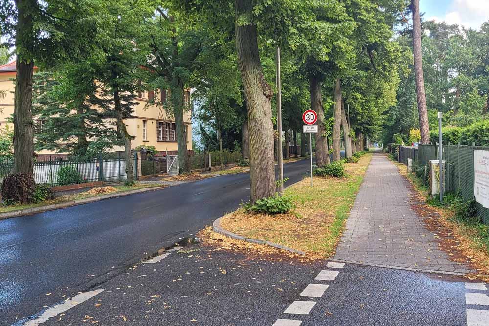 Im Übergangsbereich von Linden- zur Fontaneallee konnte der Gehweg mit deutlich Abstand von den Bestandsbäumen angelegt werden. In der Seestraße ist dieser Platz nicht vorhanden. (Foto: Reif)