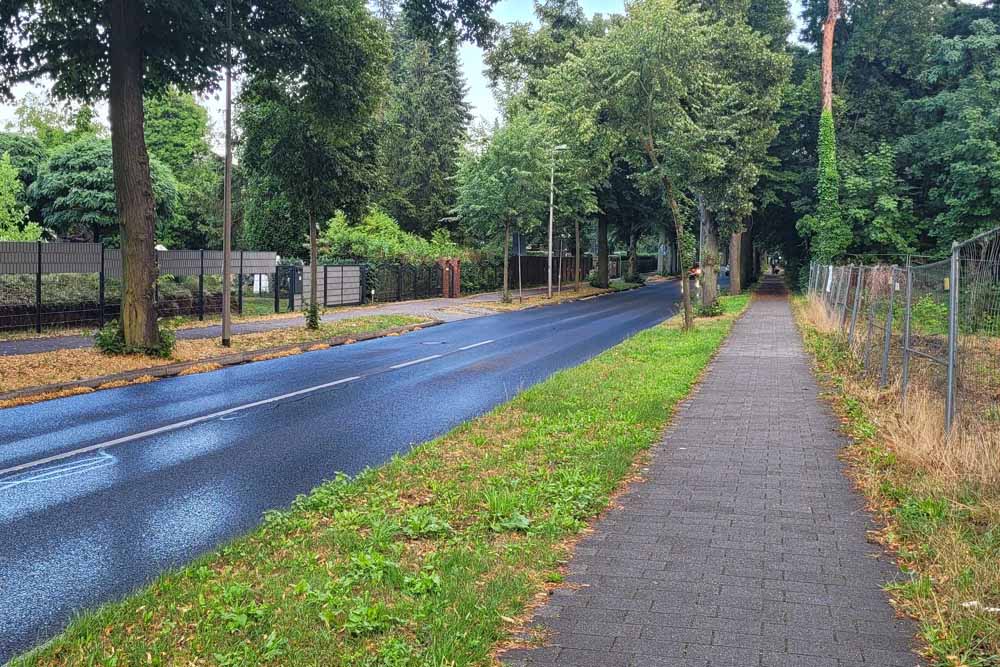 Trotz 6 m Fahrbahnbreite sind in diesem Abschnitt wenig alte Bäume stehen geblieben (Alternative). (Foto: Reif)