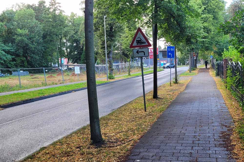 Trotz 6m Fahrbahnbreite sind in diesem Abschnitt der Lindenallee wenig alte Bäume stehen geblieben.