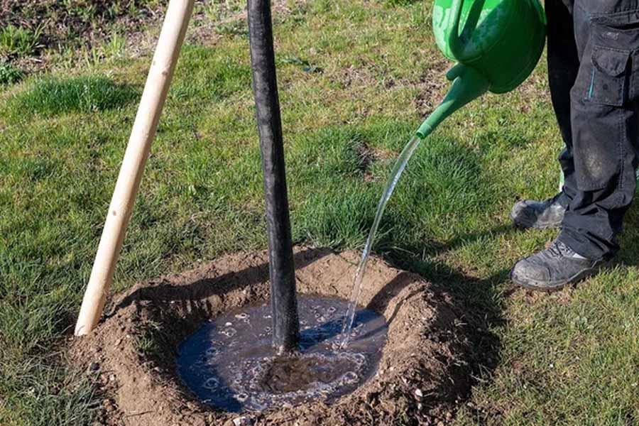 Findet der AfD-Antrag Zustimmung dürften Bürger mit zusätzlichen Kosten belastet werden. (Symbolbild)