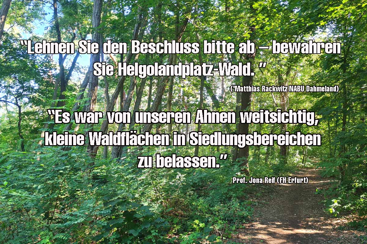 Waldstück am Helgolandplatz (Foto: mwBild)