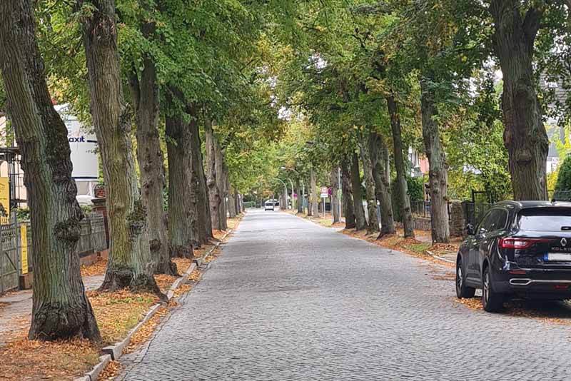 Eine "Informationsveranstaltung" zum Thma Umbau der Seestraße fand Ende September in Zeuthen statt. (Foto: mwBild)
